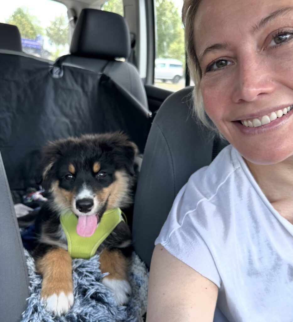 Hundebetreuung dog sitting dog walking Gassi Urlaubsbetreuung